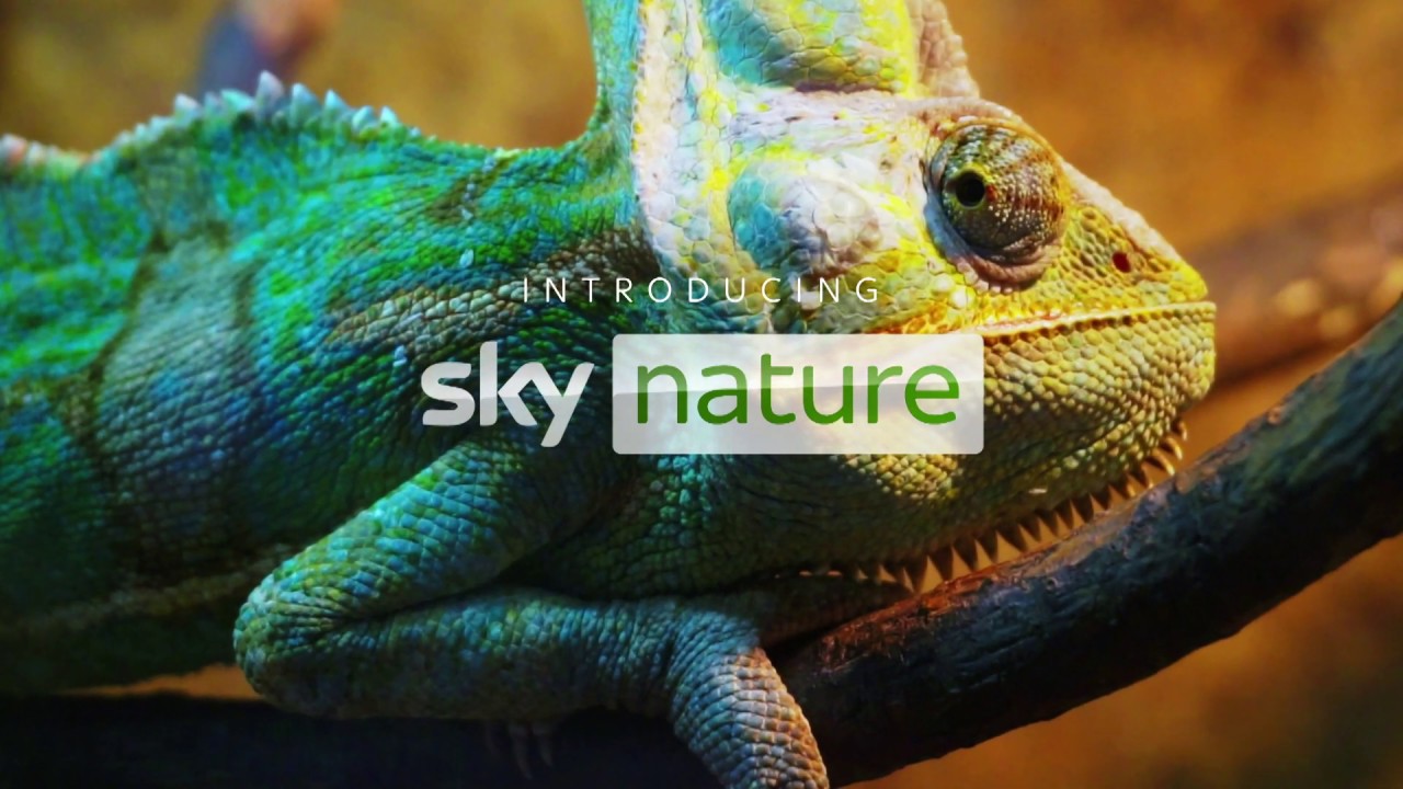 Assistir Sky Nature Online