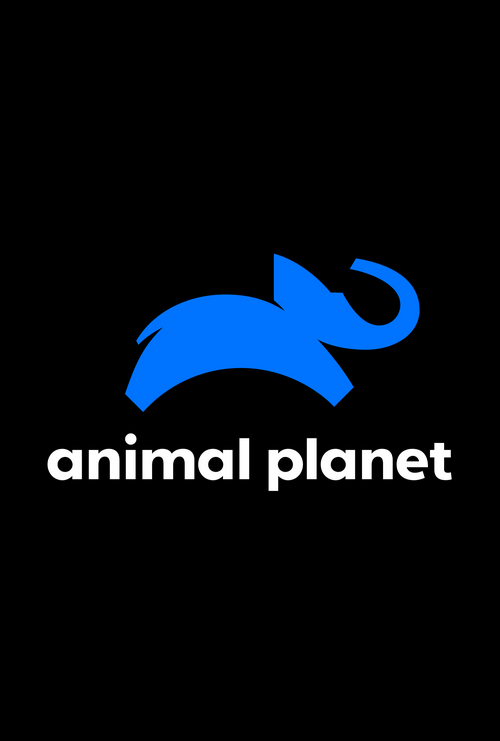 Assistir Animal Planet (Ao Vivo) Online em HD